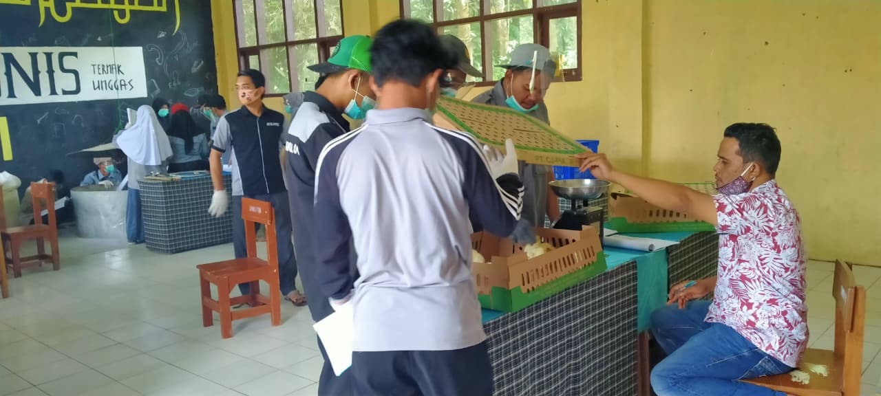 Agribisnis Ternak Unggas